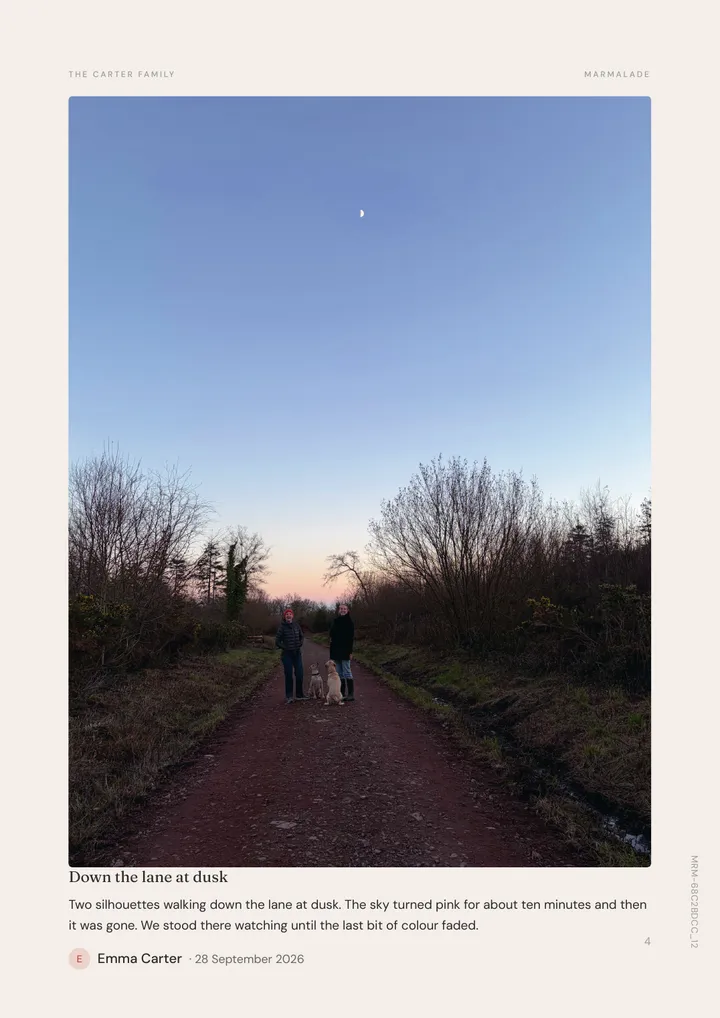 A full page photo of a lane at dusk